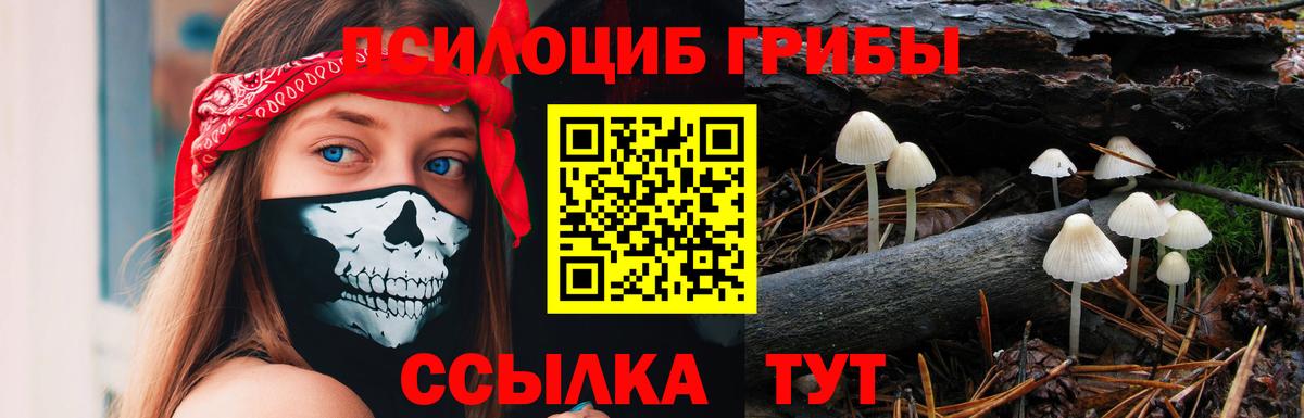 Галлюциногенные грибы ЛСД  закладка  Нерюнгри  Вход с VPN 
